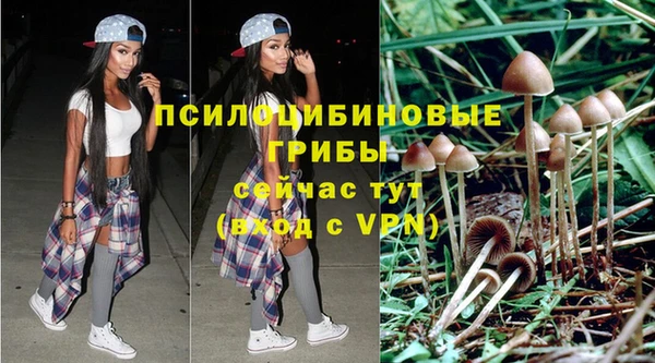амф Алексин