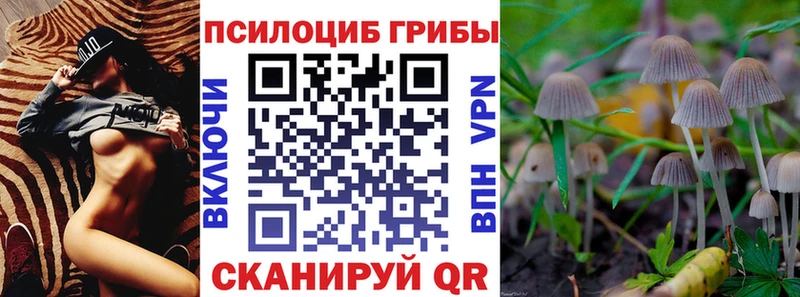 Псилоцибиновые грибы Magic Shrooms  закладка  Павловский Посад 