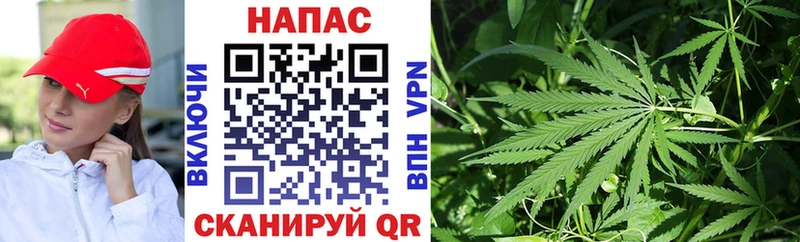 ОМГ ОМГ как зайти Павловский Посад Каннабис Amnesia цены наркотик